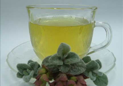 photo from herbstore.gr
