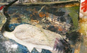 FarEast: Εικόνες του ρευστού κόσμου