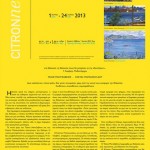Citronne:Τάσος Μαντζαβίνος & Κώστας Παπανικολάου, ομαδική έκθεση, 2013