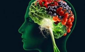 Διατροφή και πνευματική υγεία: Πώς οι τροφές επηρεάζουν την ανάπτυξη και λειτουργία του εγκεφάλου