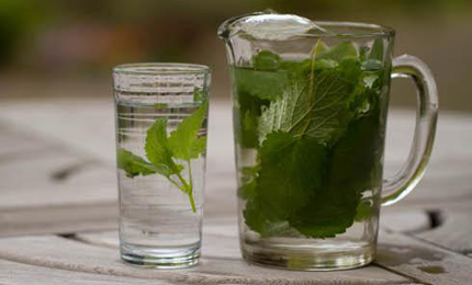 photo1 inspire_photo1