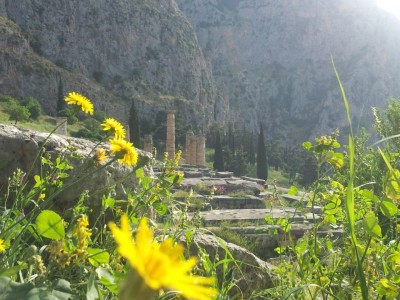 inspireyourlife_delphi_28 04 2013