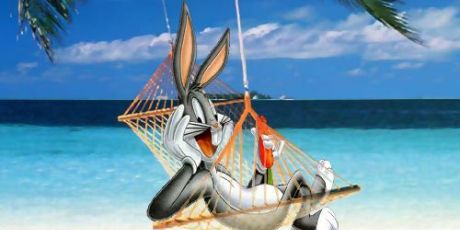 inspireyourlife_rabbit_frontbeach