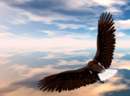 inspireyourlife_eagle flying
