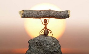 Κάνε, αντί να προσπαθείς!