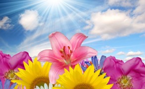 “Να ζεις σαν…”