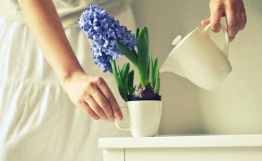 “Αν στερηθείς την τύχη σου…”