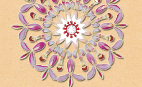 Φεστιβάλ Ενάλλαξη