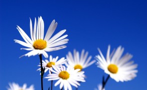 Κάθε μέρα είναι η πρώτη μέρα της νέας ζωής που επιλέγω!