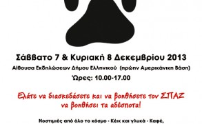 Χριστουγιεννάτικο Bazaar απο το σύλλογο ΣΠΑΖ