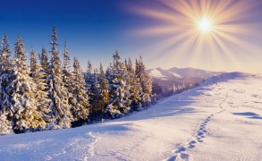 Στα βάθη του χειμώνα, ανακάλυψα μέσα μου ένα ανυπέρβλητο καλοκαίρι!