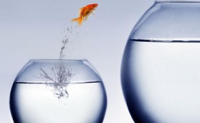 Όλοι σκέφτονται να αλλάξουν τον κόσμο αλλά…