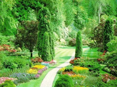 inspireyourlife_nature_path