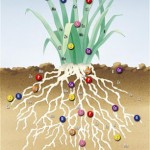Τι πρέπει να κάνω για να έχω μία διατροφή πλήρη σε θρεπτικά συστατικά;