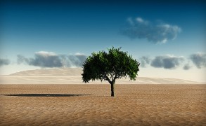 Όποιος δεν μπορεί να καταλάβει τη σιωπή σου…