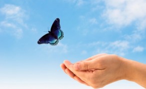 “Όταν κάποιος αναζητά την υγεία…”