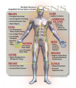inspireyourlife_your_body