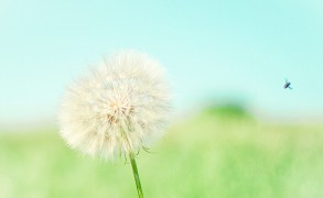 Η απλότητα γεννά έμπνευση!