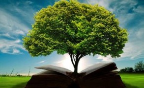 Τα 7 μυστικά των σοφών ανθρώπων