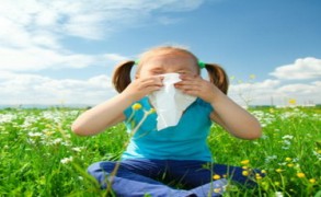 Πώς να αντιμετωπίσετε αποτελεσματικά τις αλλεργίες: 5+1 φυσικοί τρόποι
