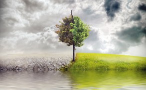 Αν δε σου αρέσει κάτι, άλλαξέ το!