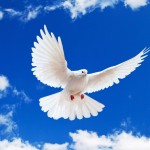 Η συμβουλή της εβδομάδας: “Για να σταματήσει ο “πόλεμος έξω”, κάνε “ειρήνη μέσα σου”
