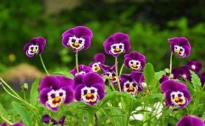 Ό, τι βλέπετε είναι πολύτιμο!