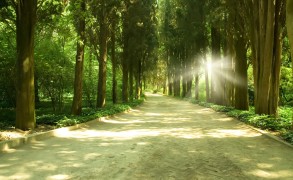 Η σοφία είναι η γνώση του κινδύνου αλλά χωρίς φόβο.