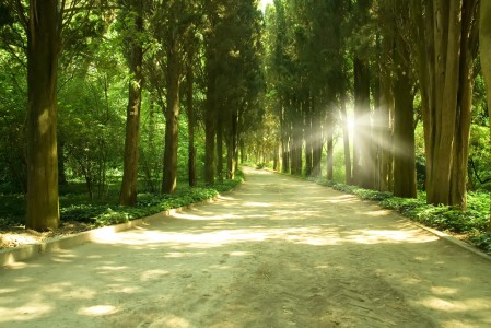 inspireyourlife_way of wisdom