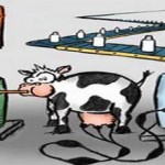 Γάλα, το σύγχρονο δηλητήριο: Με τί μπορώ να το αντικαταστήσω;