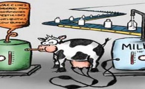 Γάλα, το σύγχρονο δηλητήριο: Με τί μπορώ να το αντικαταστήσω;