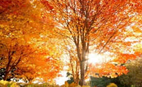 Σεπτέμβριος: Μια καινούργια εποχή