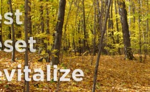 Φθινοπωρινό  Yoga & Detox Retreat με τον Κωνσταντίνο Χαραντινιώτη