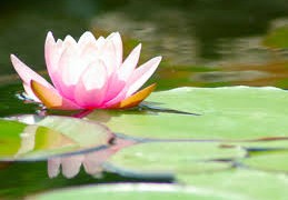 Γιορτή Υγείας στα Cocomat στις 6-8 Οκτωβρίου