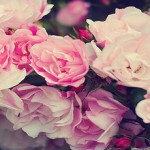 Αποδέξου τον εαυτό σου