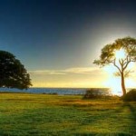 Τα 4 μυστικά για να βρείτε το νόημα της ζωής