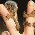 Ο άνθρωπος είναι μέρος ενός συνόλου που ονομάζουμε “σύμπαν”