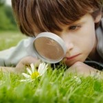 Η περιέργεια ενισχύει την ικανότητα της μάθησης