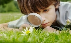 Η περιέργεια ενισχύει την ικανότητα της μάθησης