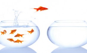 Πως αντιδράς στην Αλλαγή;