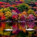 Αγάπη δίχως όρια. Μύθος ή πραγματικότητα;