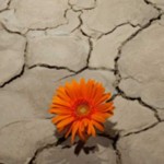 6 χρήσιμες συμβουλές