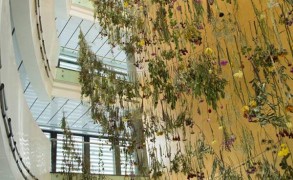 «Ψηλά, Κήπος»: Εγκατάσταση της Rebecca Louise Law