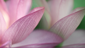 Σεμινάριο: Θεραπευτική ύπνωση, 20-22 Φεβρουαρίου