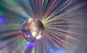 ΓΑΙΟΦΑΙΝΟΜΕΝΟ: Πέμπτη 26 Μαρτίου μας υποδέχεται στο Pure Bliss