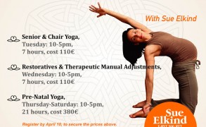 Pre- natal and Post- natal training with Sue Elkin