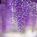 Υπό το φως της θεϊκής Πηγής…