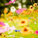 Η αναγνώριση του καλού που υπάρχει στη ζωή σου είναι η βάση της αφθονίας