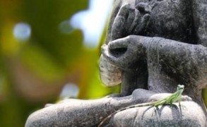 Παρουσίαση βιβλίου: ”Πυθαγόρεια και Καβείρια Μυστήρια”