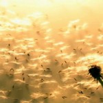 Τα οφέλη της συγχώρεσης